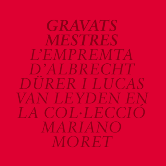 Imatge representativa del projecte