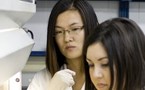 Persones en el laboratori