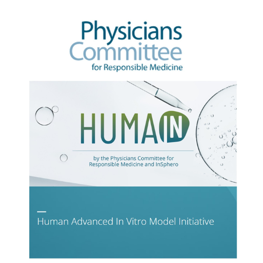 Representative picture of the project