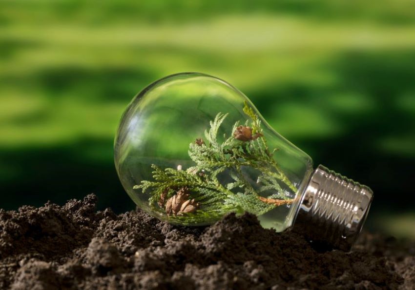 III Convocatoria de ayudas para proyectos innovadores que impulsan modelos de vida y consumo más sostenibles en los campus de la UV
