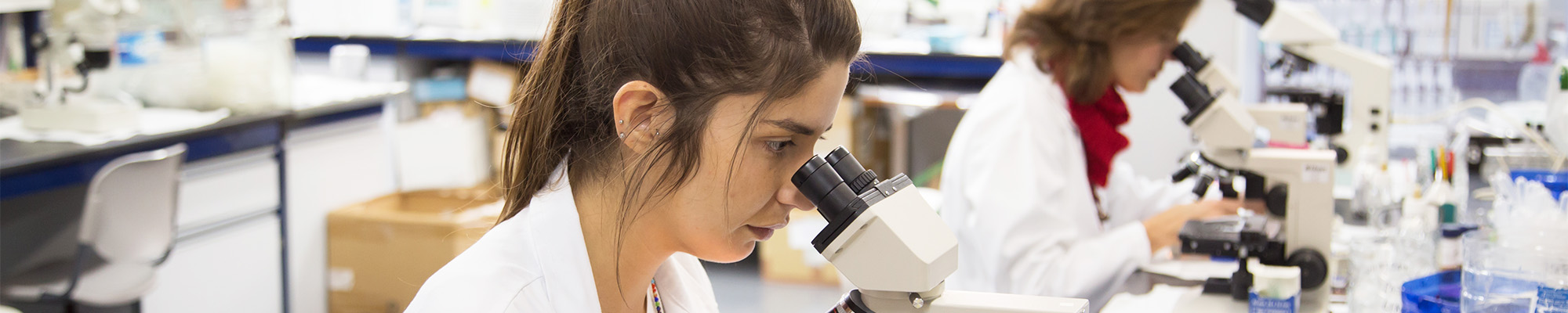 Grado en Ciencia y Tecnología de los Alimentos. 