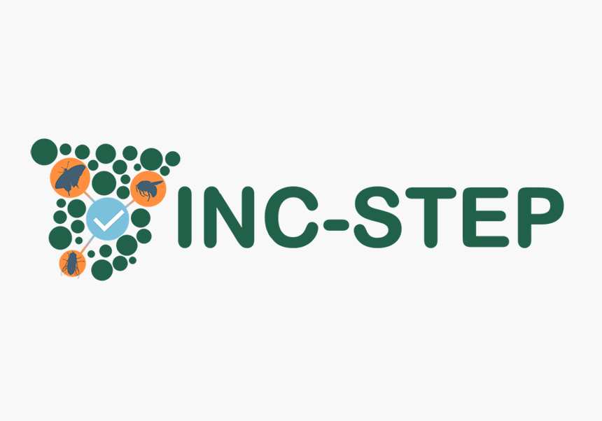 INC-STEP TETTRIs - imatge 0