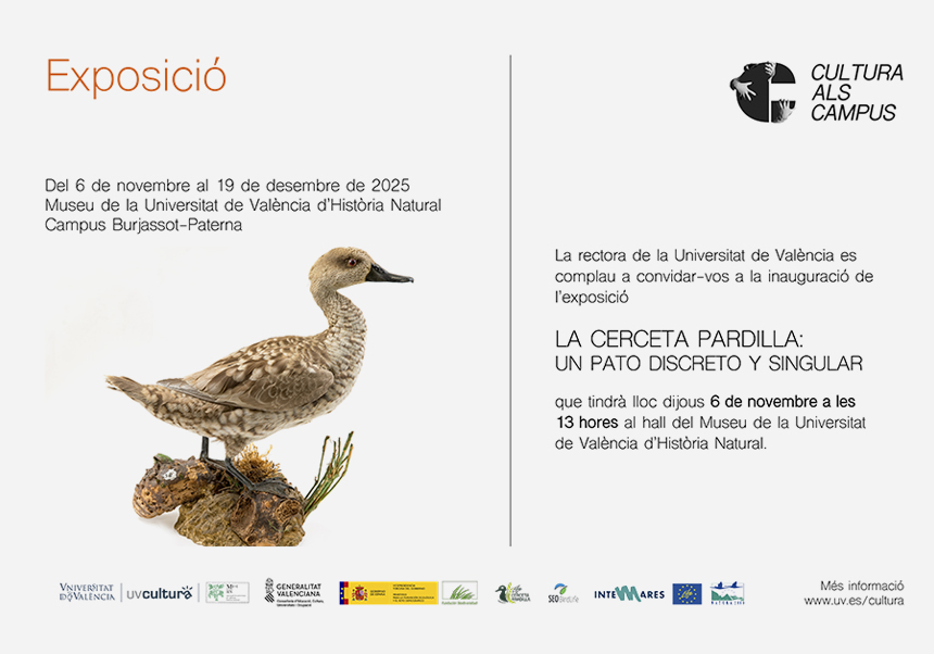 Exposició: La cerceta pardilla: un pato discreto y singular