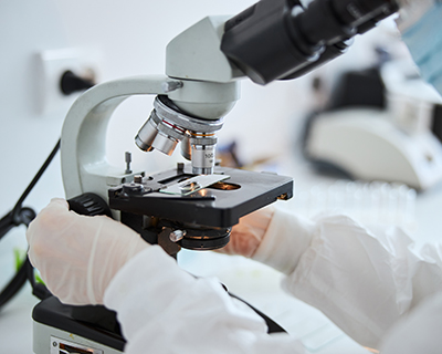 Representative picture of the project