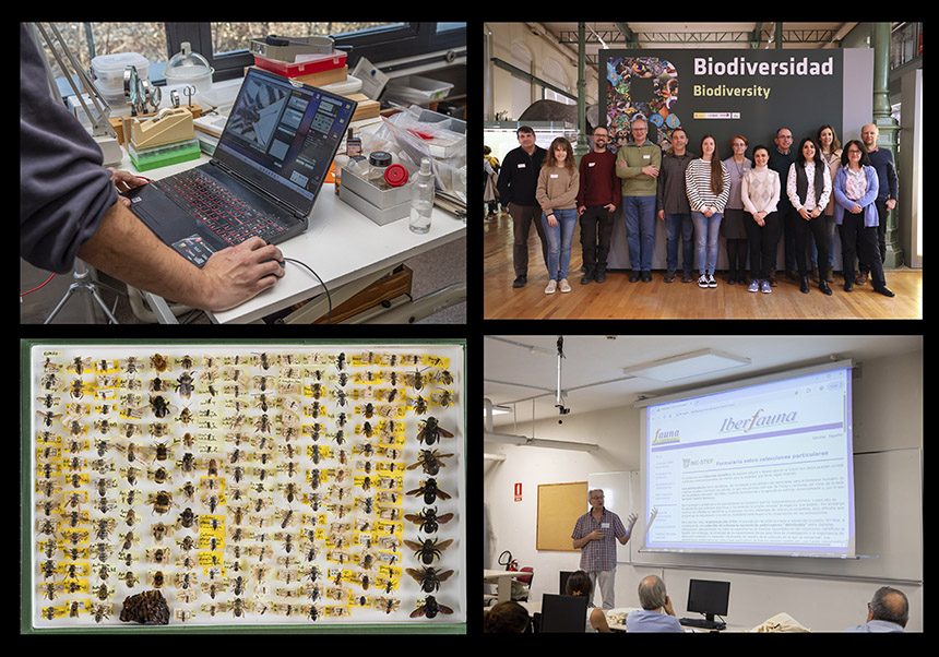 El proyecto INC-STEP finaliza con una valoración positiva en el marco europeo TETTRIs