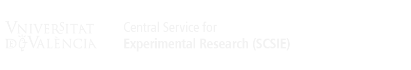 Logo del portal