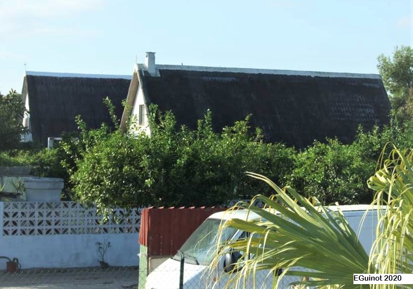 Barraca de la parcel·la 669 d’El Palmar