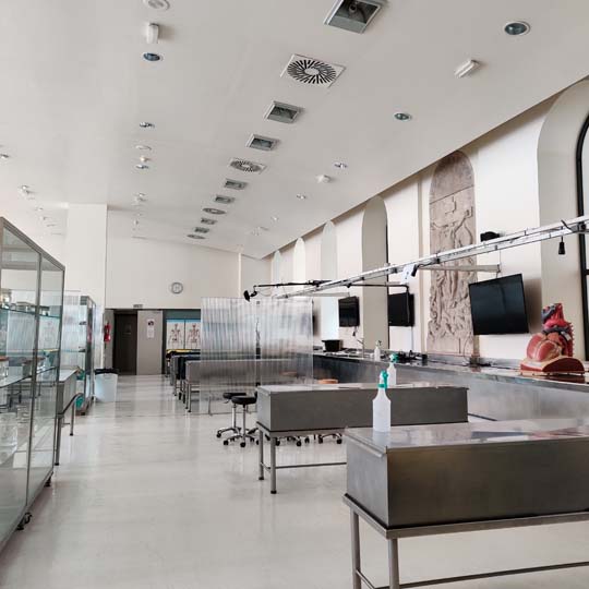 Foto Sala d’Anatomia