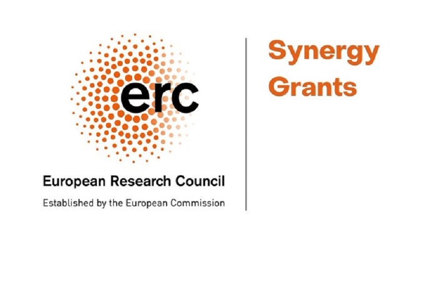 Convocatòria 2023 Synergy Grants de l’ERC