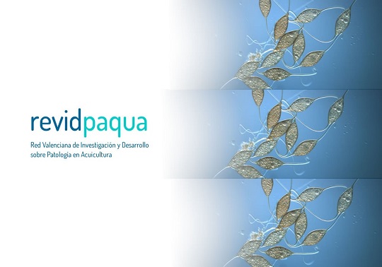 revidpaqua logo
