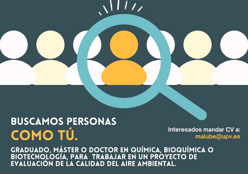 Image de la noticia