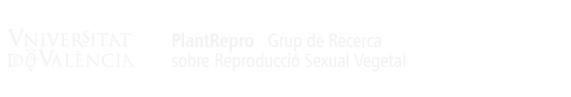 Logo del portal
