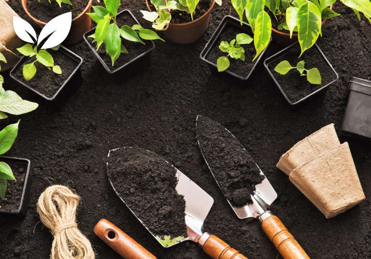 Planting action
