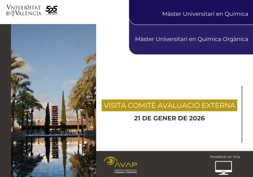 Visita comité evaluación externa