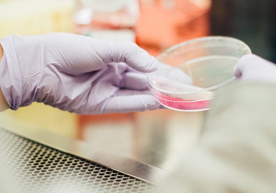 Convocatoria promoción investigación GVA 2025