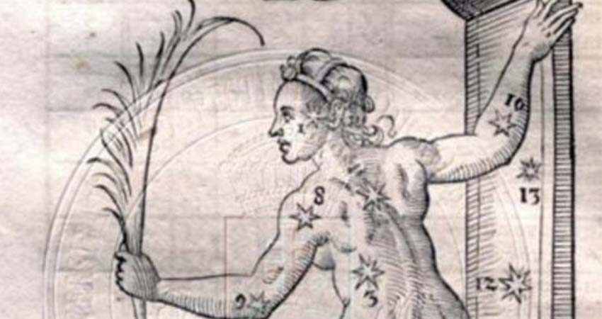 Drawing of a woman's torso