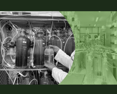 Imagen representativa del proyecto