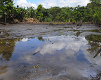 Representative picture of the project