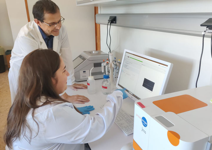 Members of the researcher team.
