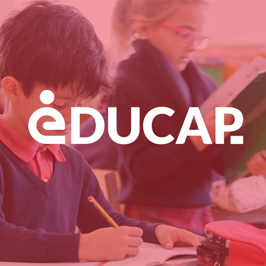Representative picture of the project