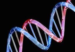 Oxford Nanopore MinION Used To Produce Most Complete Human Genome