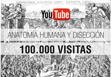 Anatomia Youtube