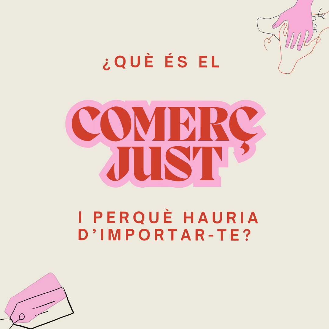 Image de la noticia