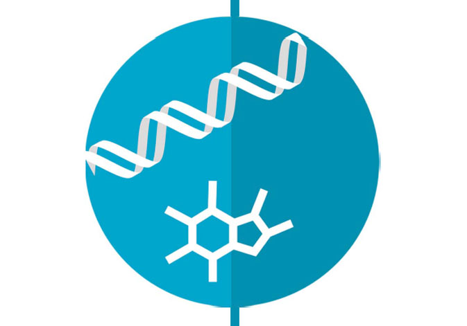 Logo jornada Biotecmed