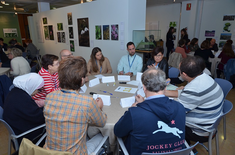 Imatge representativa del projecte