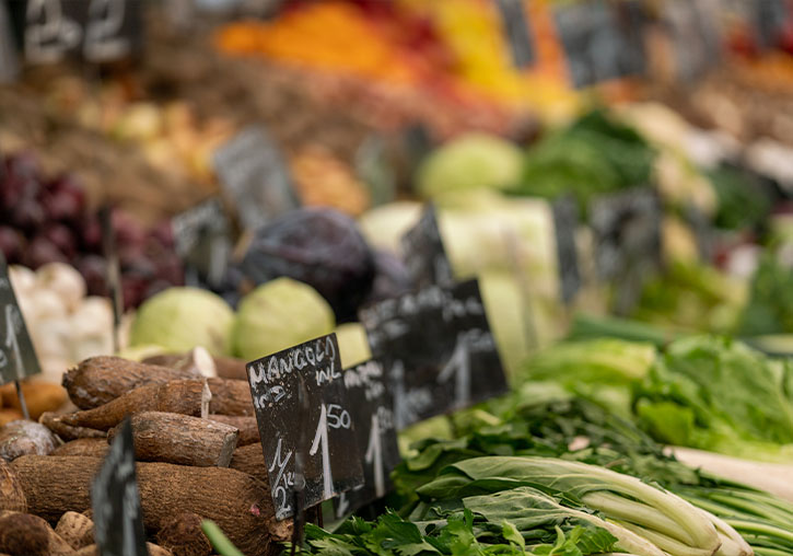 Inauguration of the Universitat de València's Mercat Agroecològic