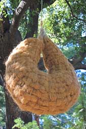 Pieza de la exposición ‘Nius, Somnis i Temps’.