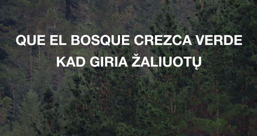 Foto bosc