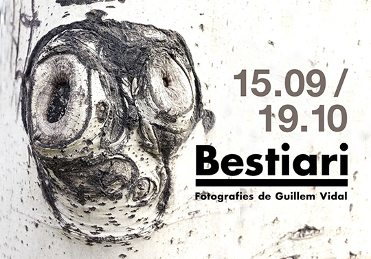 Bestiari, de Guillem Vidal