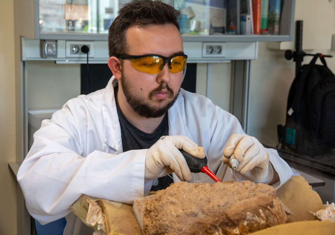 Álvaro Conejos García treballant al Museu d'Història Natural de la Universitat de València