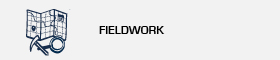 Fieldwork