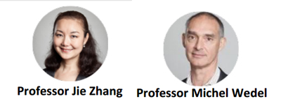 Merilan Jie Zhang y Michel Wedel