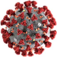 Convocatoria de urgencia de investigación en coronavirus