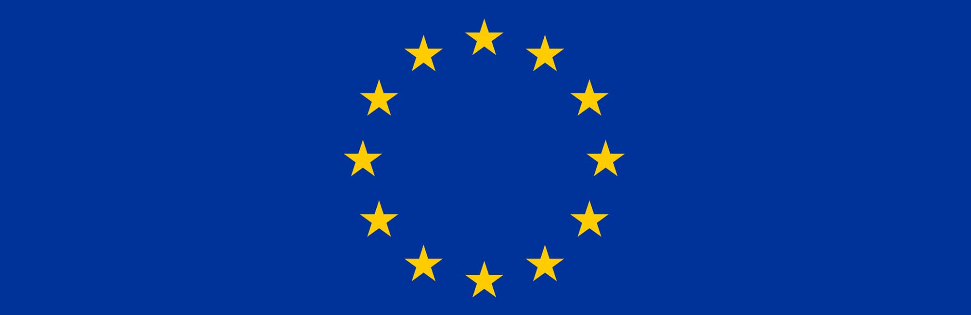 European Union Flag. 