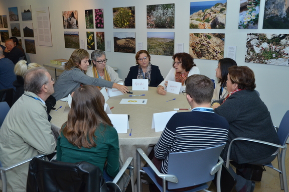 Citizen consultation in València - imatge 0