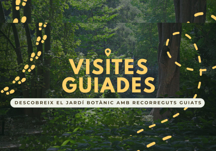 Imagen del evento:Visitas Guiaadas