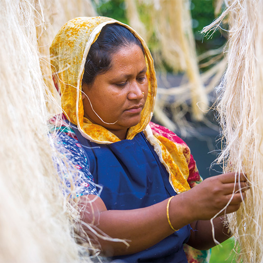 Representative picture of the project