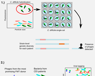 Representative picture of the project