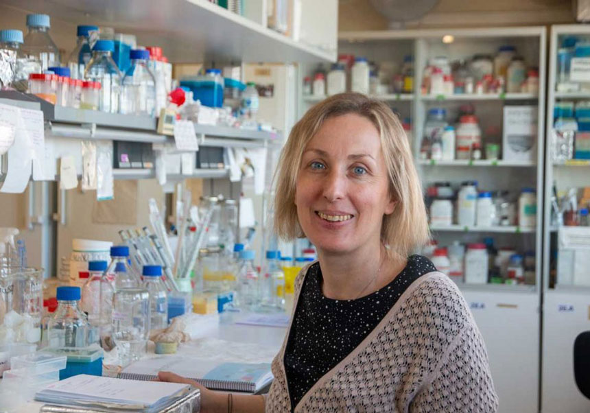 Cristina Crava en su laboratorio la Universitat de València.