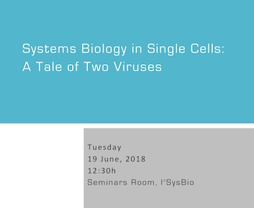 Systems Biology in Single Cells: A Tale of Two Viruses