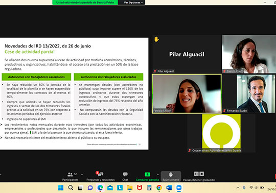 Captura de pantalla del webinar