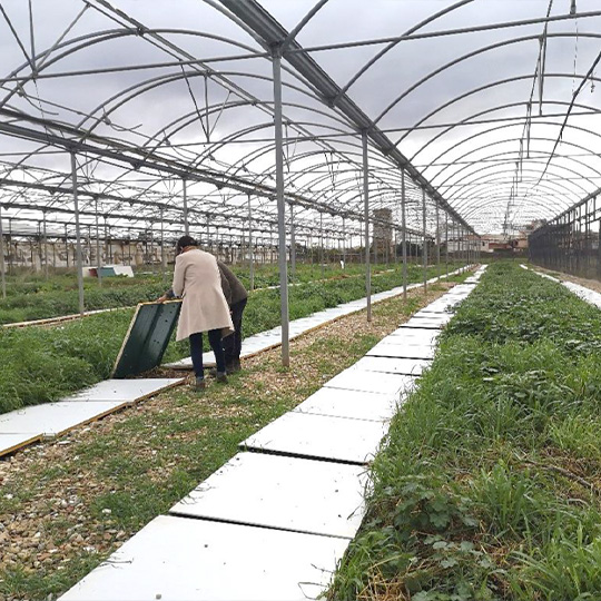 Representative picture of the project