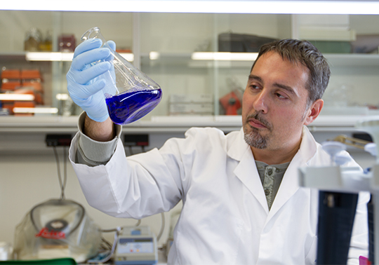 Representative picture of the project