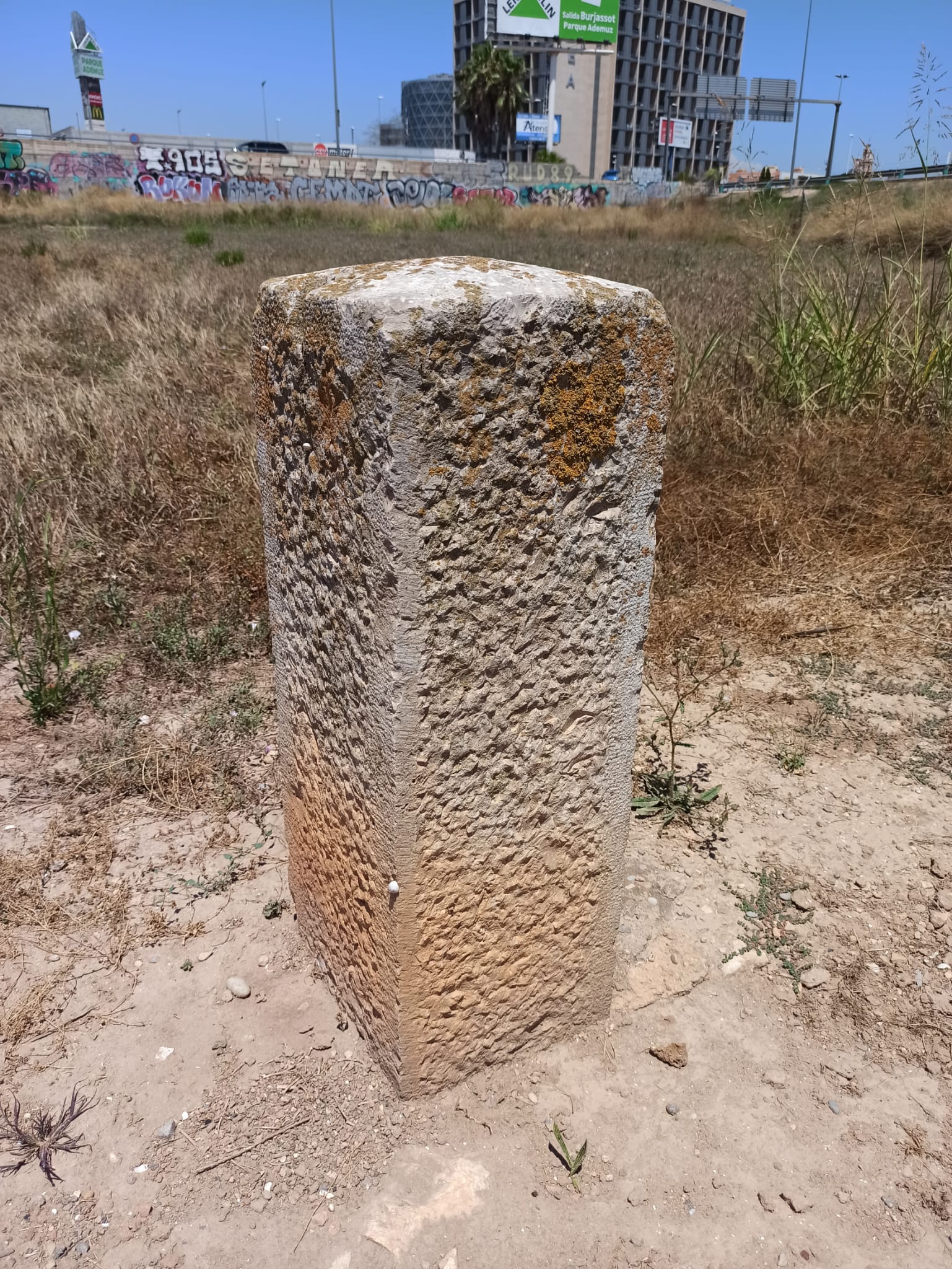 Molló de Terme nº33