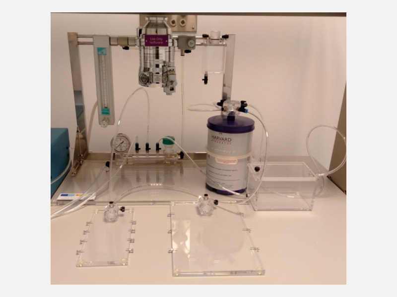 Equipo de anestesia inhalatoria Panlab