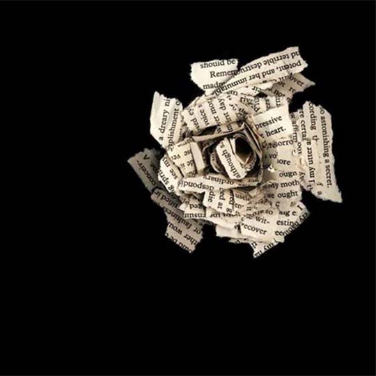 Una rosa feta amb paper